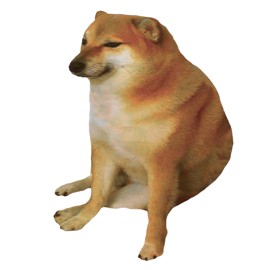 no-message-img